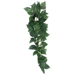 Screenshot Komodo Sumatra Hanging Vine – Reptile Vivarium Silk Plant (13cm, 23cm, 40cm)
