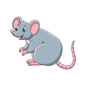 Frozen Rats – Packs of 10
