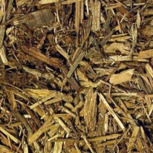 Zoo Med Forest Floor Bedding – Cypress Mulch Substrate (8.8L & 26.4L)