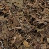 leaf-litter-contents HerpXotics Natural Leaf Litter – Bioactive Substrate for Reptiles & Invertebrates
