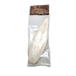 cuttlefish-500x500 Cuttlefish Bone for Tortoises – Natural Calcium Supplement (100g)