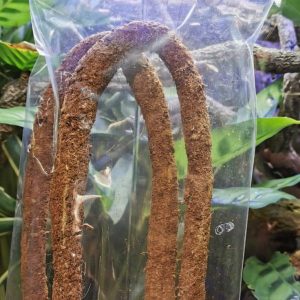 Ridgeway Coco Fibre Flexi Vine – Bendable Climbing Vine for Reptiles (2.1m Twin Pack)