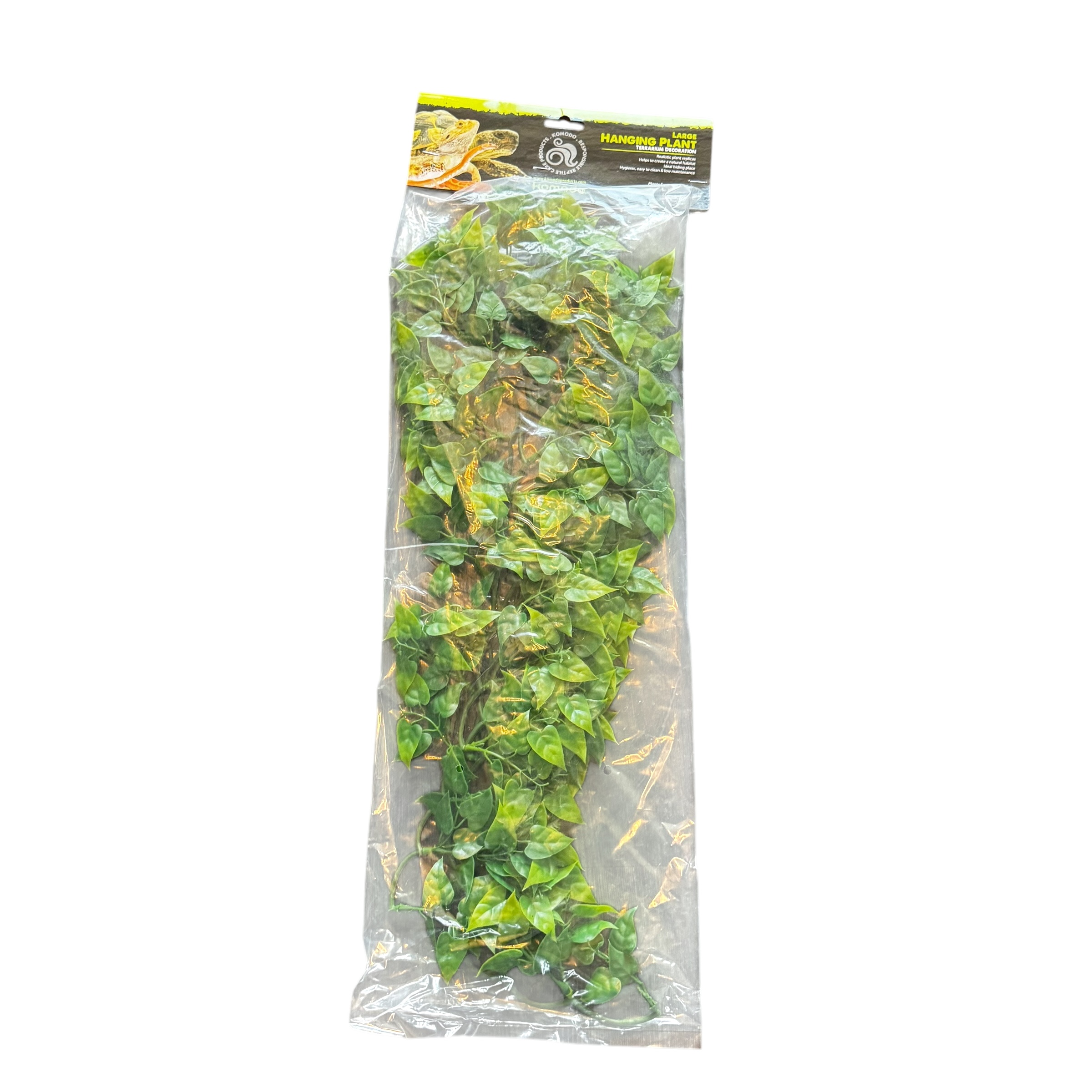 Komodo Philodendron Hanging Plant – Reptile Vivarium Hanging Vine (60cm)