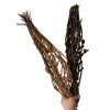 perch1 Natural Reptile Branch Perch – Climbing Wood for Vivariums (Approx. 45–50cm)